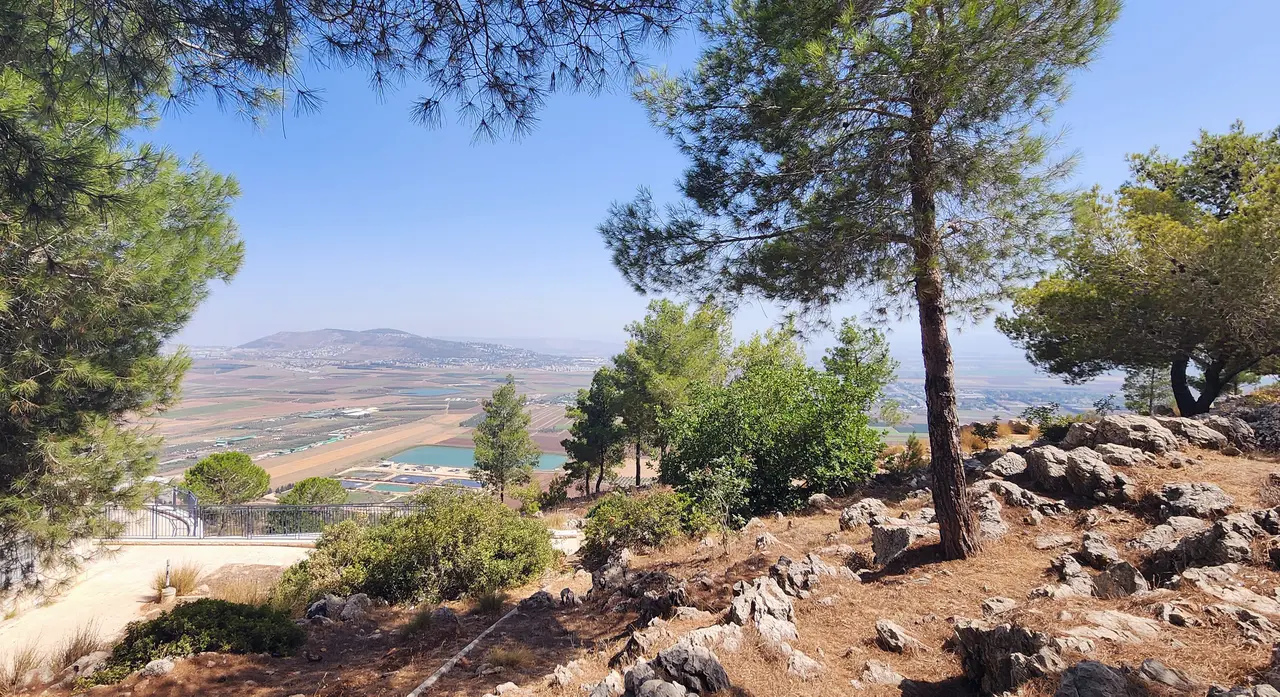 Mount Precipice: panorama, photo 3 of 3